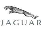 Jaguar Airbag Module Reset