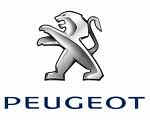 Peugeot Airbag Module Reset