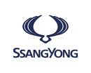 Ssangyong Airbag Module Reset